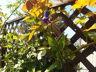 e0004756_20144246.jpg