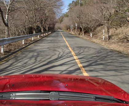 嵐山高雄パークウェイを走る_e0044657_22564002.jpg