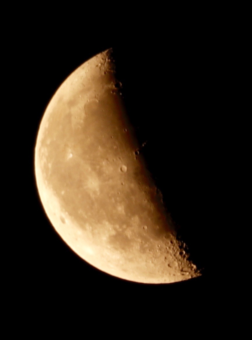 a0248459_18252557.jpg