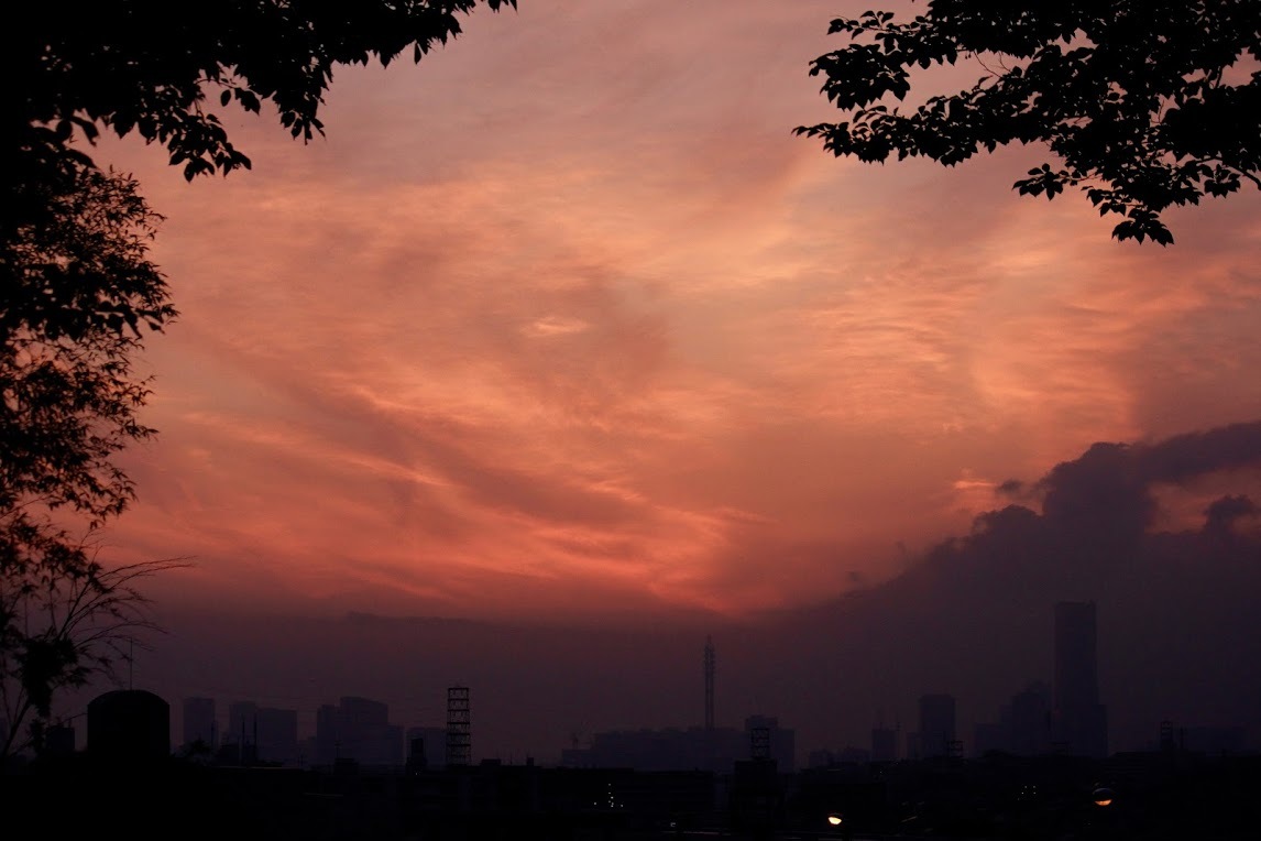 a0248459_18263519.jpg