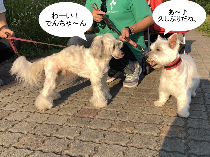 f0363961_19354167.jpeg