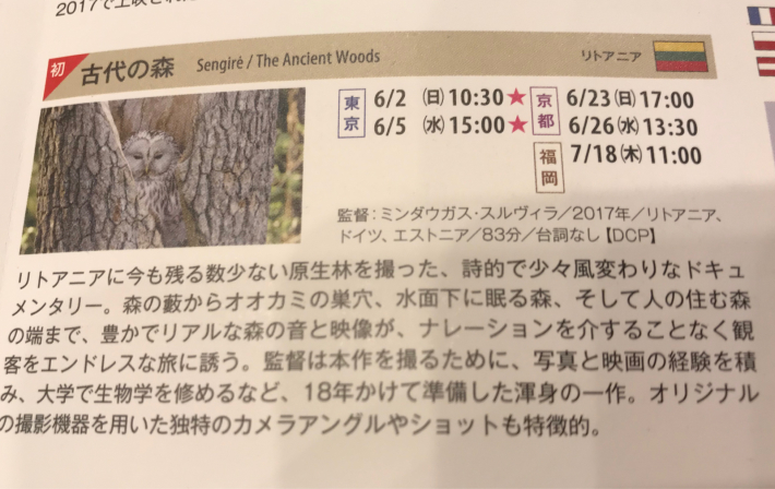 芹澤健介『コンビニ外国人』　EUフィールムデーズ2019ミンドウガス・スルヴィラ『古代の森』京都文化博物館_a0034066_17415692.jpg