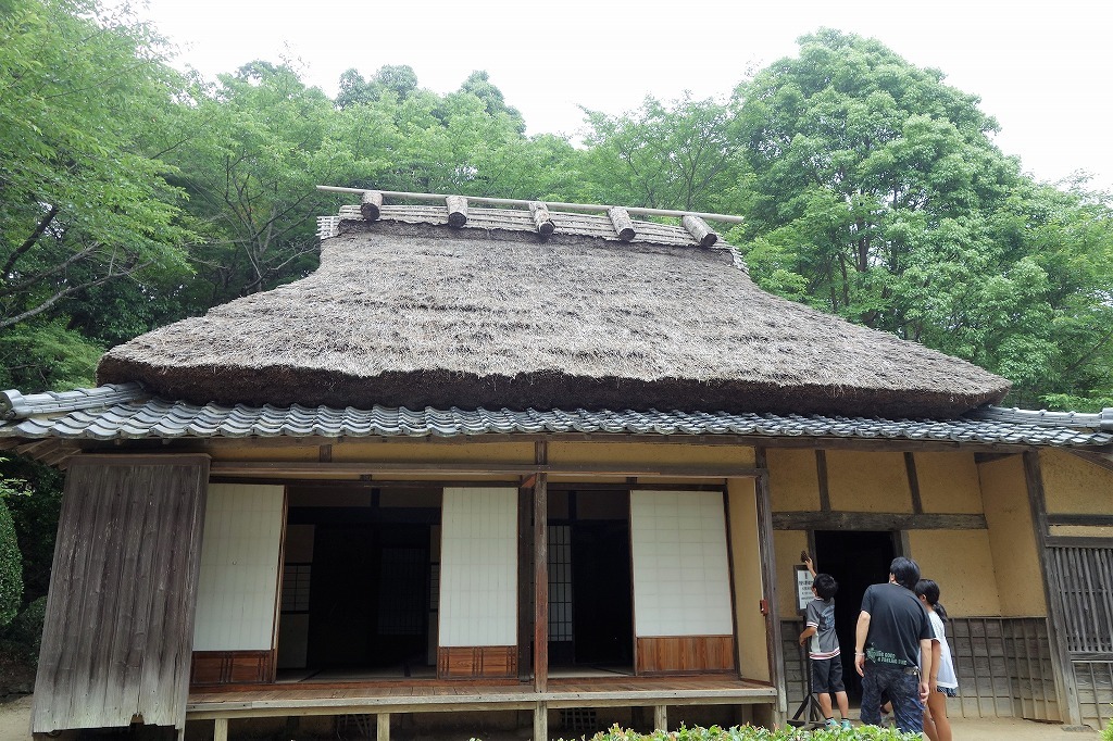 柳田国男記念館の山桃 : 森のことば、ことばの森