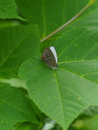 e0305074_21554760.jpg