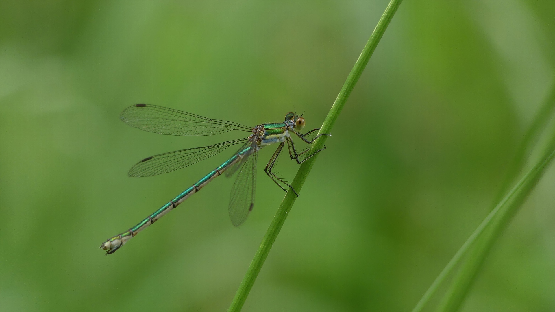 a0185081_23303683.jpg