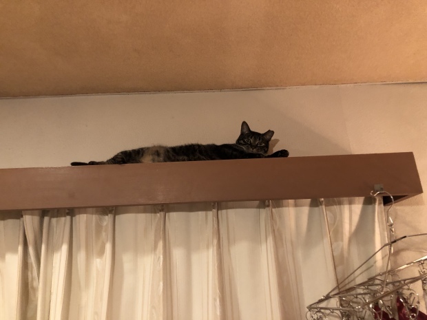 b0377882_23140629.jpeg