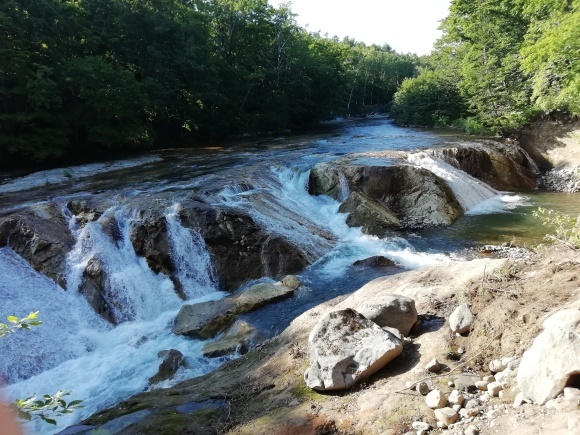 c0212083_17171560.jpg