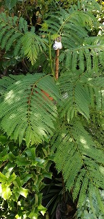 c0229483_0255091.jpg