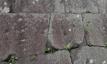 f0003283_16391512.jpg