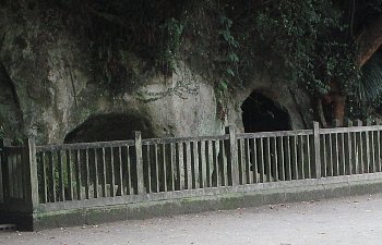 f0003283_16392663.jpg