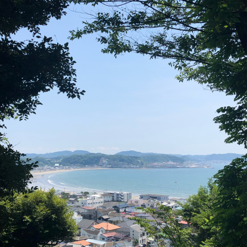 長谷寺の紫陽花_d0233891_13355190.jpg