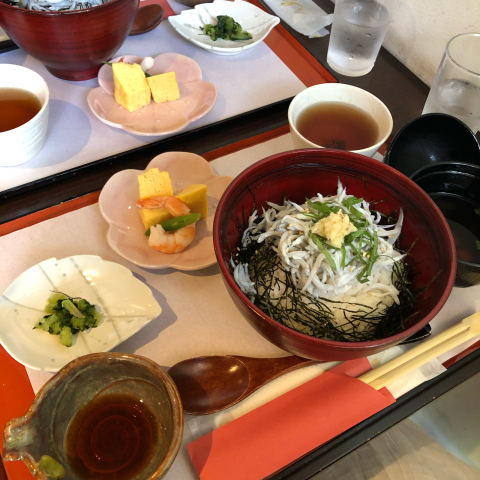 明月院の紫陽花_d0233891_14241040.jpg