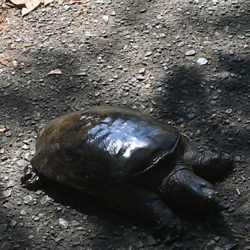 a0094797_09323727.jpeg