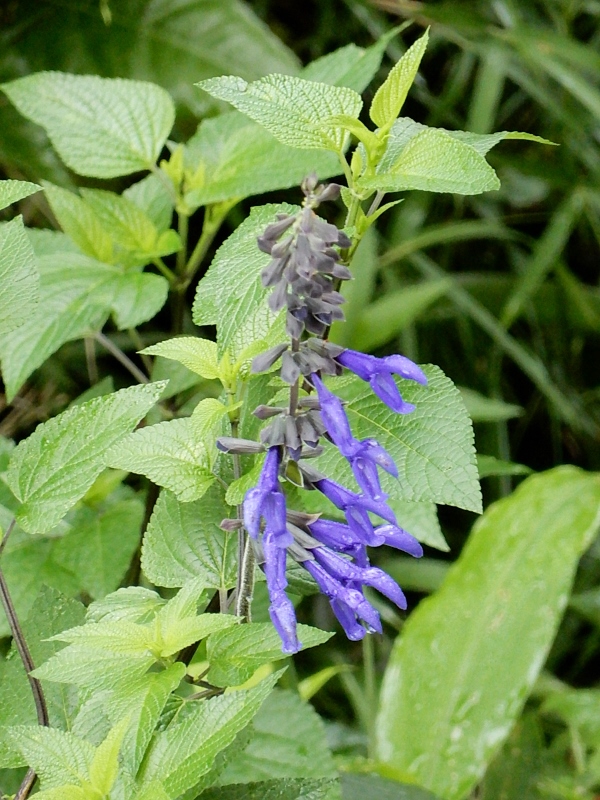 e0025300_2221084.jpg