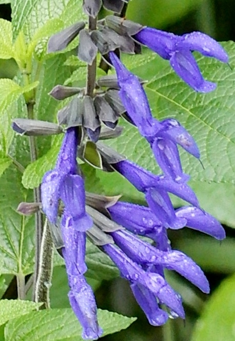 e0025300_22211465.jpg
