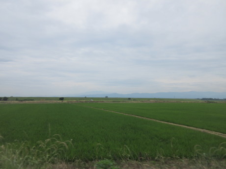 a0203003_20032636.jpg