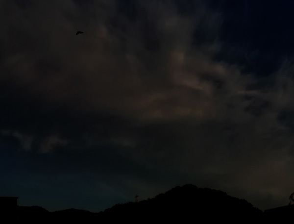 d0093903_22233377.jpg
