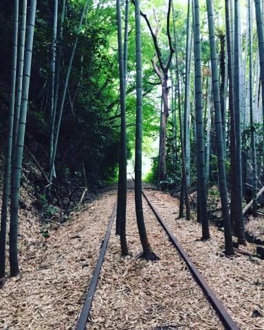 旧 国鉄倉吉線 廃線跡 泰久寺駅 裏luz