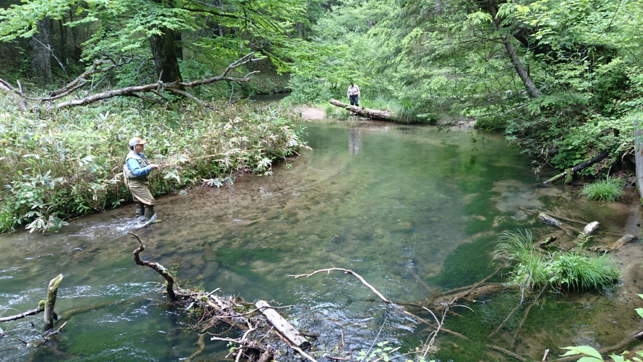 b0172805_06485585.jpg