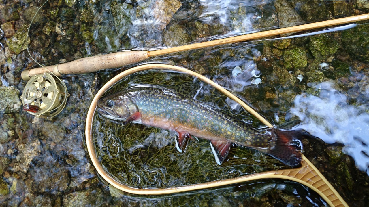 b0172805_06493248.jpg