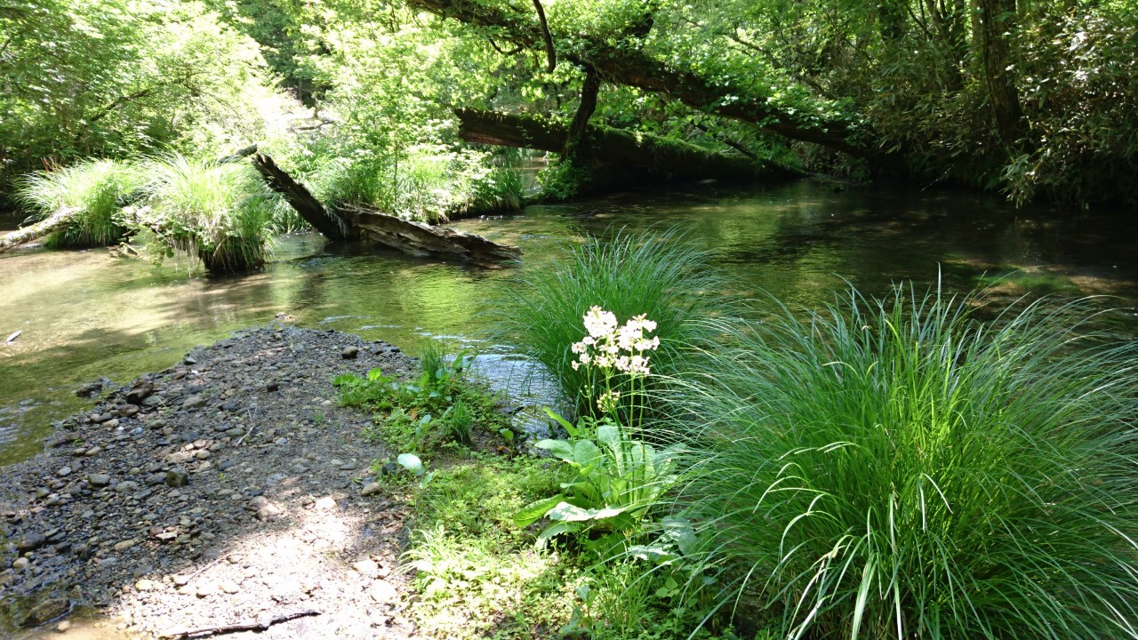 b0172805_06502565.jpg