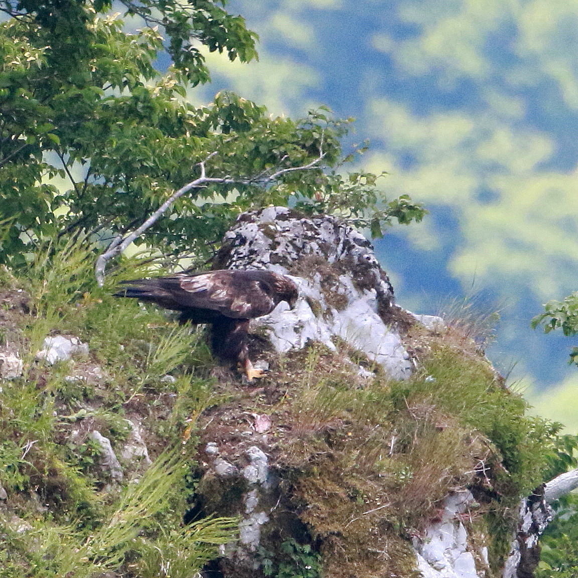 d0346713_08524450.jpg