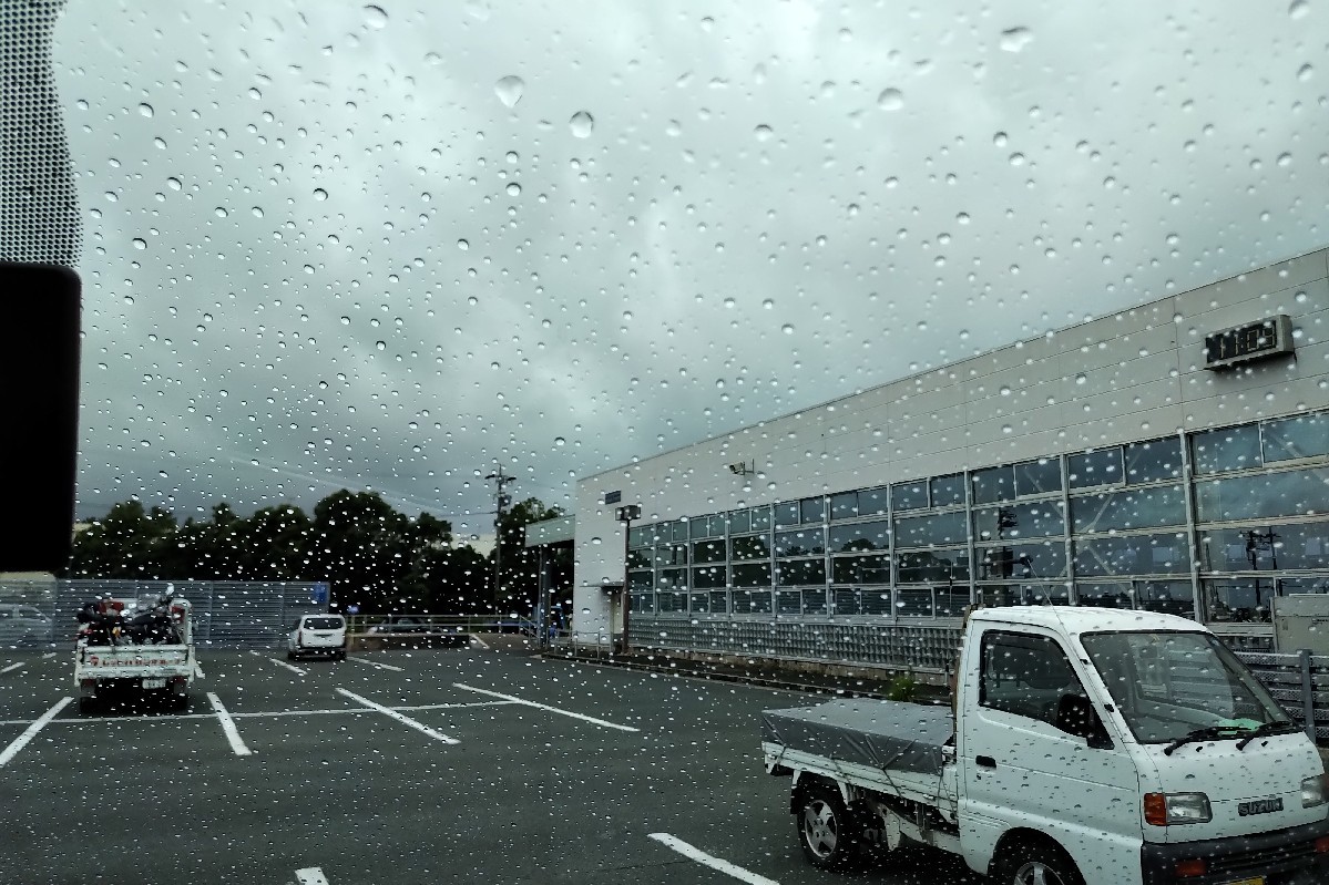 今日は昨日から雨予報..._a0159215_23463340.jpg