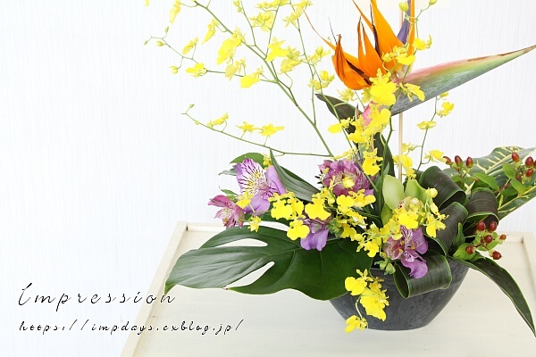 ストレリチア お祝いのアレンジ : Impression Days ストレリチア お祝いのアレンジ : Impression Days