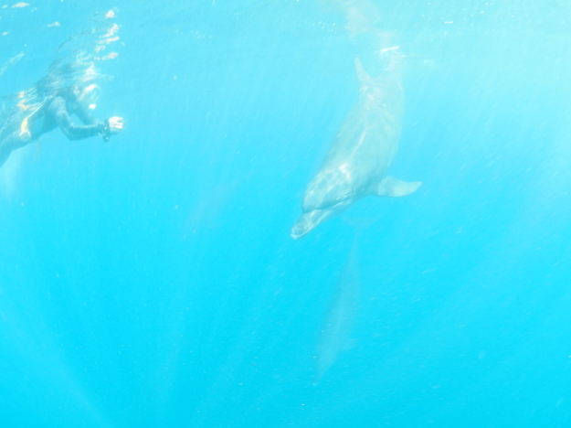 c0115421_21034719.jpg