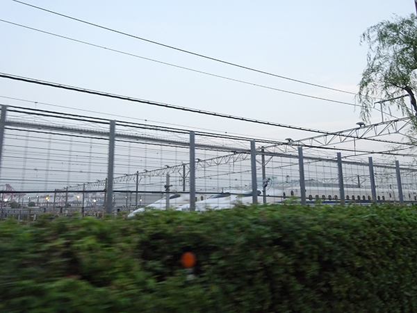 築地〜豊洲〜台場〜埠頭〜オリンピックへ向けて_f0097523_12415721.jpg
