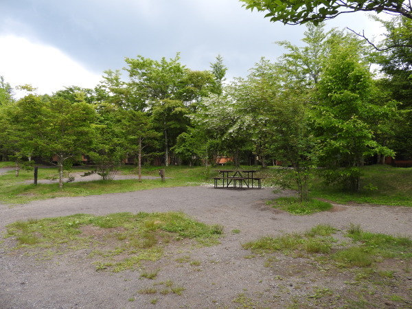 今週末の天気と気温(2019年6月27日)_b0174425_12420404.jpg