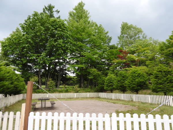今週末の天気と気温(2019年6月27日)_b0174425_12463516.jpg