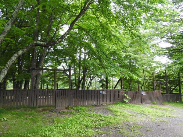 今週末の天気と気温(2019年6月27日)_b0174425_12464998.jpg