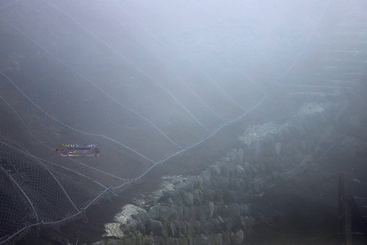 d0342426_22185052.jpg