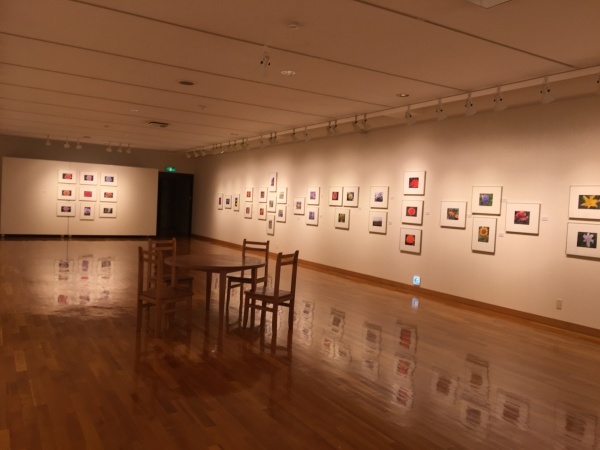東川町文化ギャラリーで開催中の写真展のお知らせ_b0187229_09204130.jpg