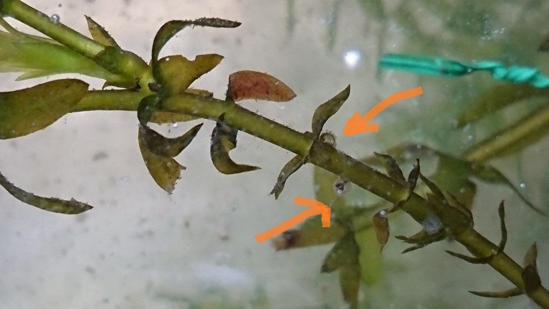 e0137130_23073932.jpg