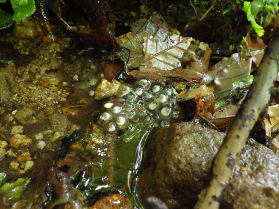 f0118332_20585794.jpg