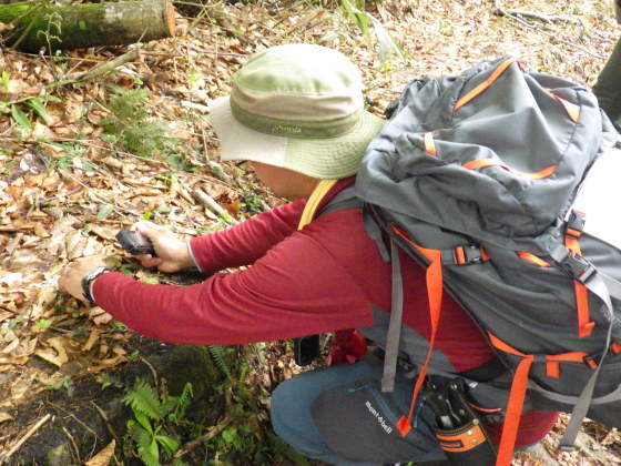 f0118332_20592749.jpg