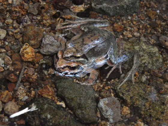 f0118332_21041295.jpg