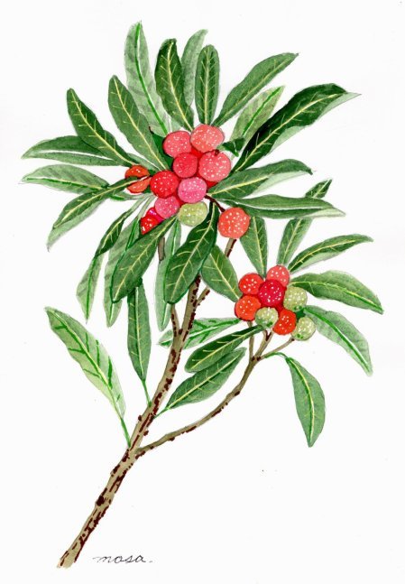 f0142733_20410444.jpg