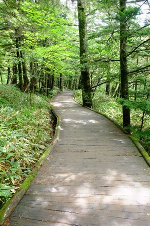 c0148238_14263644.jpg