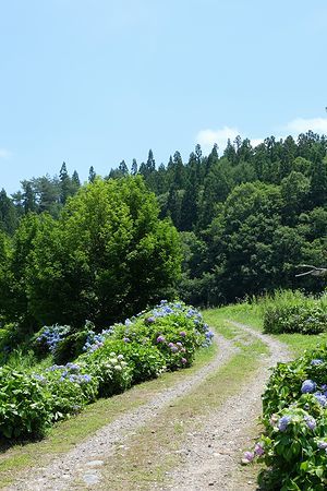 c0148238_21061315.jpg