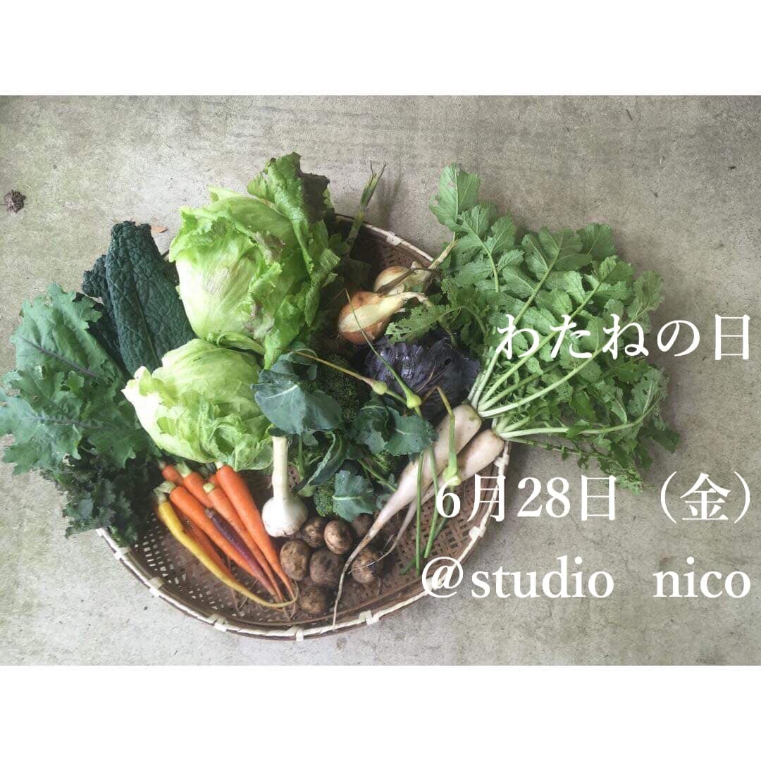わたねの日_c0207638_16424982.jpeg
