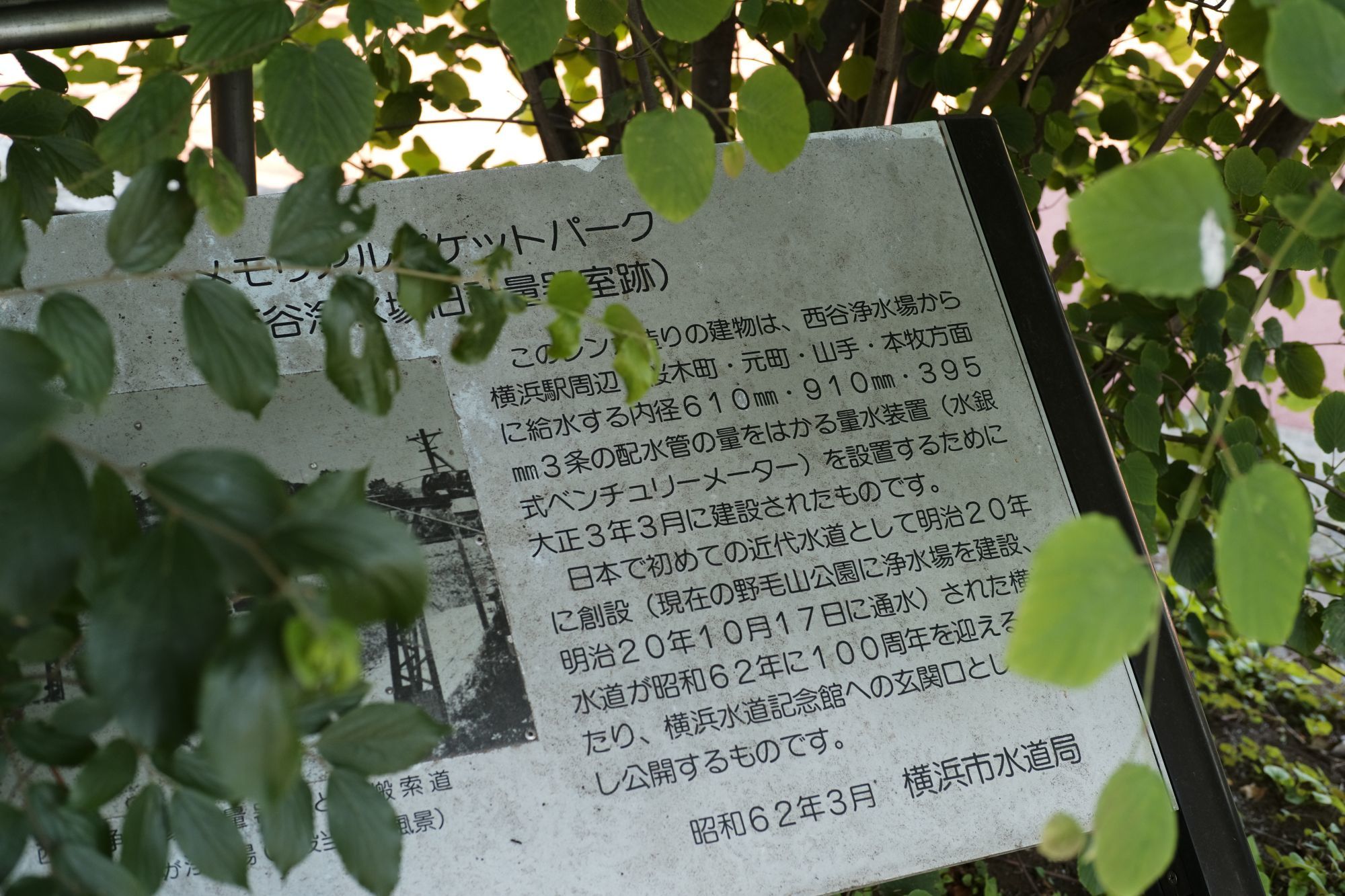b0212342_08465399.jpg