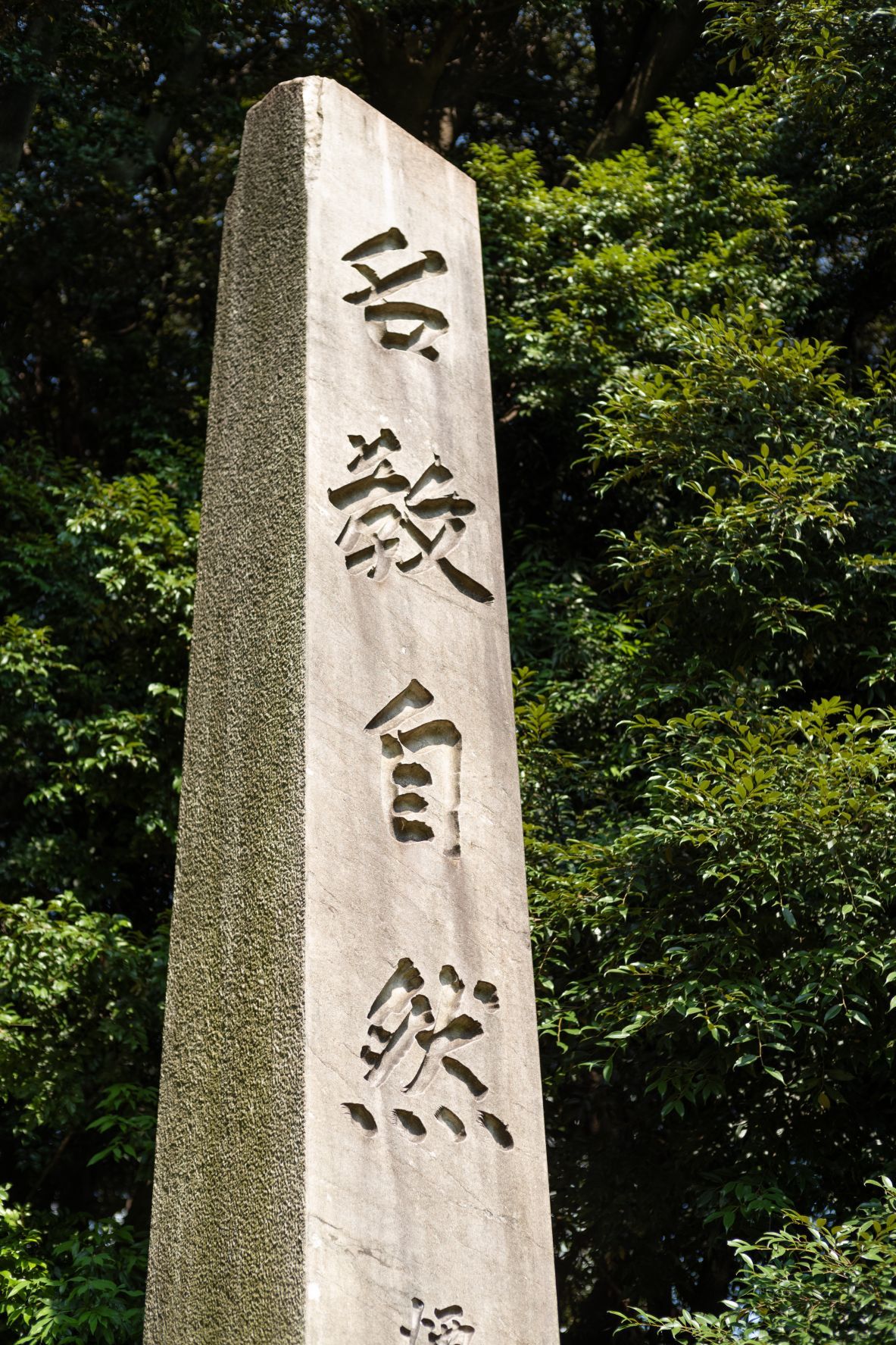 b0212342_16182904.jpg