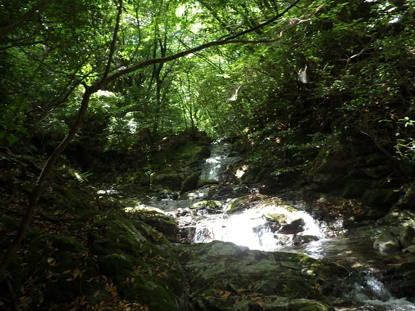 e0164643_14484409.jpg