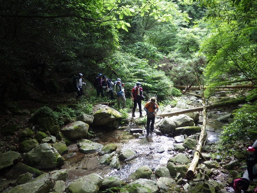 背振山系を歩く・・ムヨウラン_e0164643_14490385.jpg