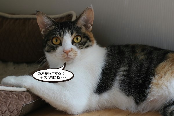 ただ今修行中_e0151545_20284535.jpg
