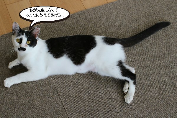 ただ今修行中_e0151545_20285453.jpg