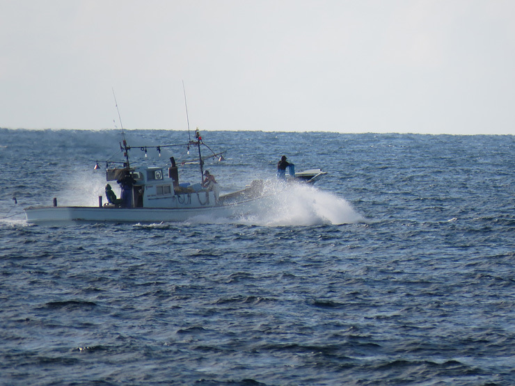 f0214649_04005641.jpg